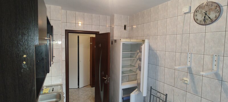 Nicolae Grigorescu, Titan