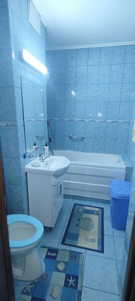 Nicolae Grigorescu, Titan